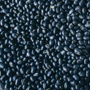 Chinese Black Beans